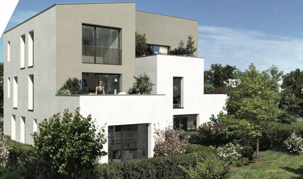 IMAGE3jpg_5fa3d68a67893