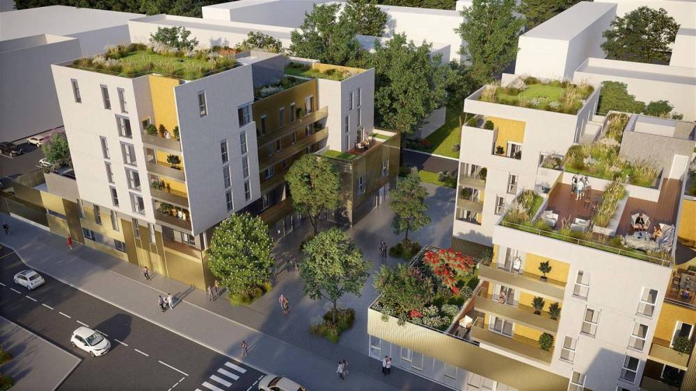 31F800PHOTO2jpg_5faeb2d60e0ca