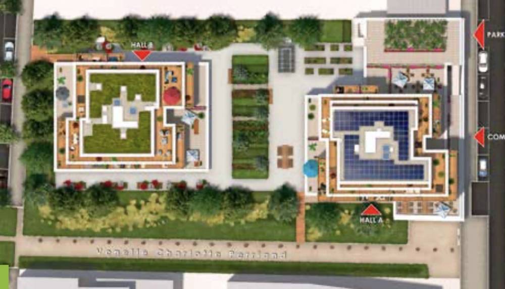 IMAGE3jpg_5fa2a63ec3f4e