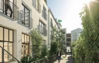 IMAGE1jpg_5f4f57ce6b08b