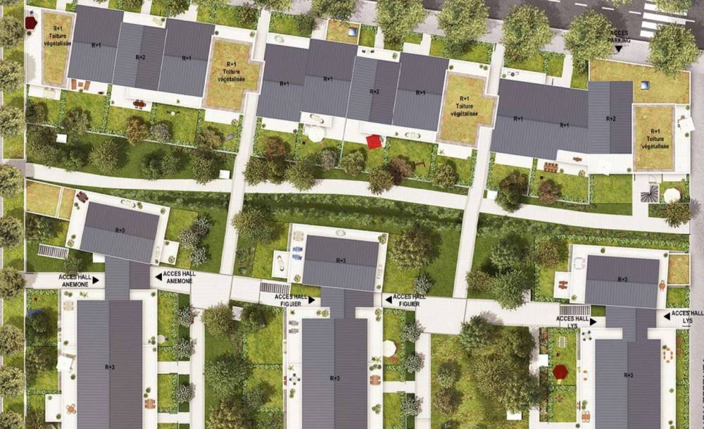 Sanstitrejpg_5d31e33de58a7