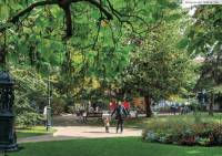 Sanstitrejpg_5ae1dd6bd641f