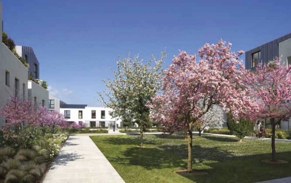 PHOTO3jpg_5f295bb81f968