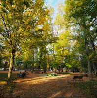 Capture d’écran 2023-06-01 à 18.10.50